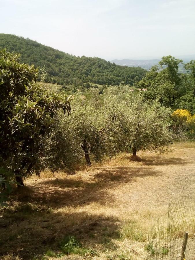 Casa Renacci Villa Subbiano Bagian luar foto