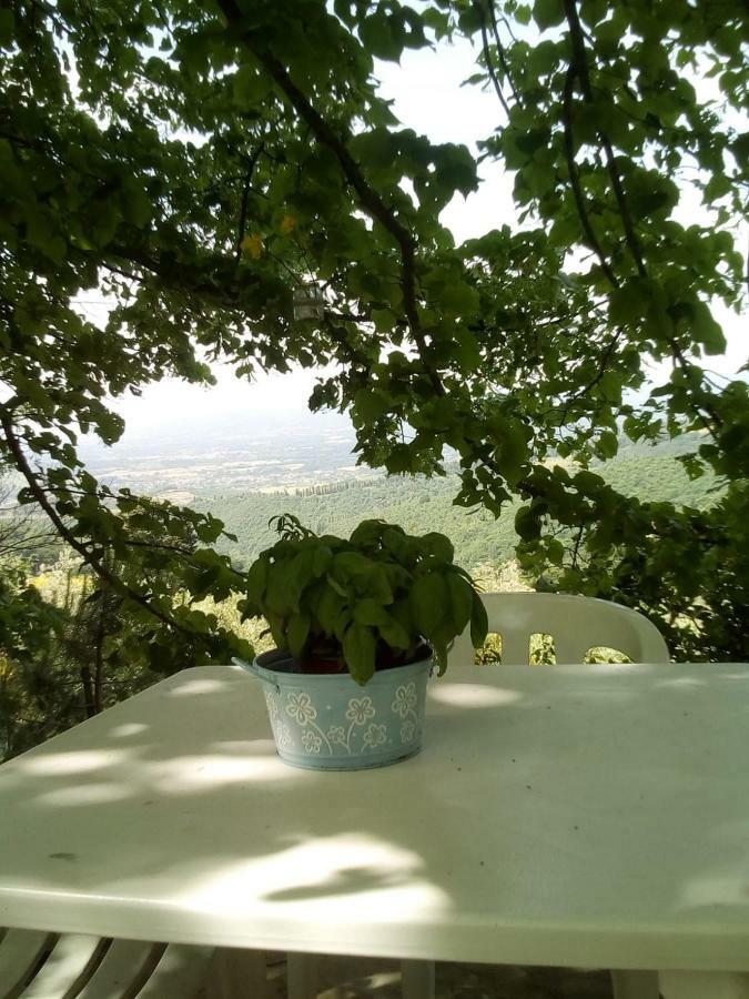 Casa Renacci Villa Subbiano Bagian luar foto